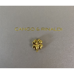 CNG Charm
