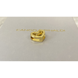 CNG Charm