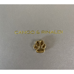 CNG Charm