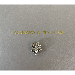 CNG Charm
